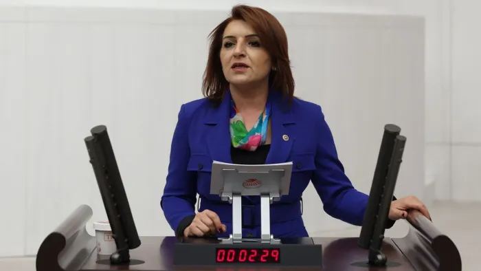 CHP Mersin Milletvekili Gülcan Kış’tan Afet Bakanlığı Teklifi